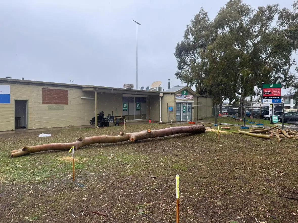 Superior Tree and Stump arborist work on an Adelaide property